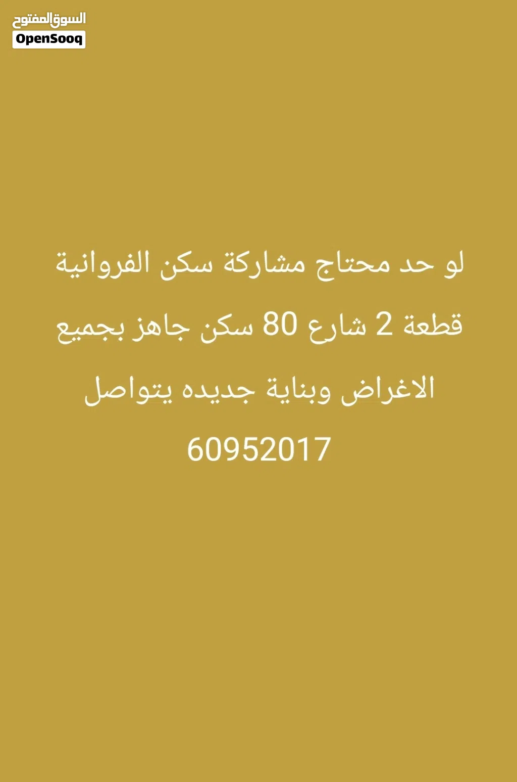 محمد عبود محمد