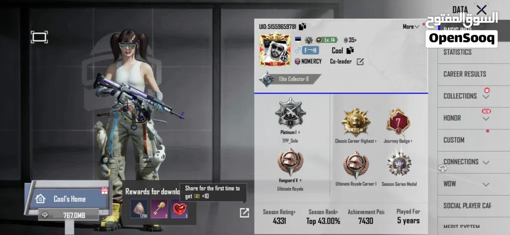 Pubg account for sale ( cheap price )