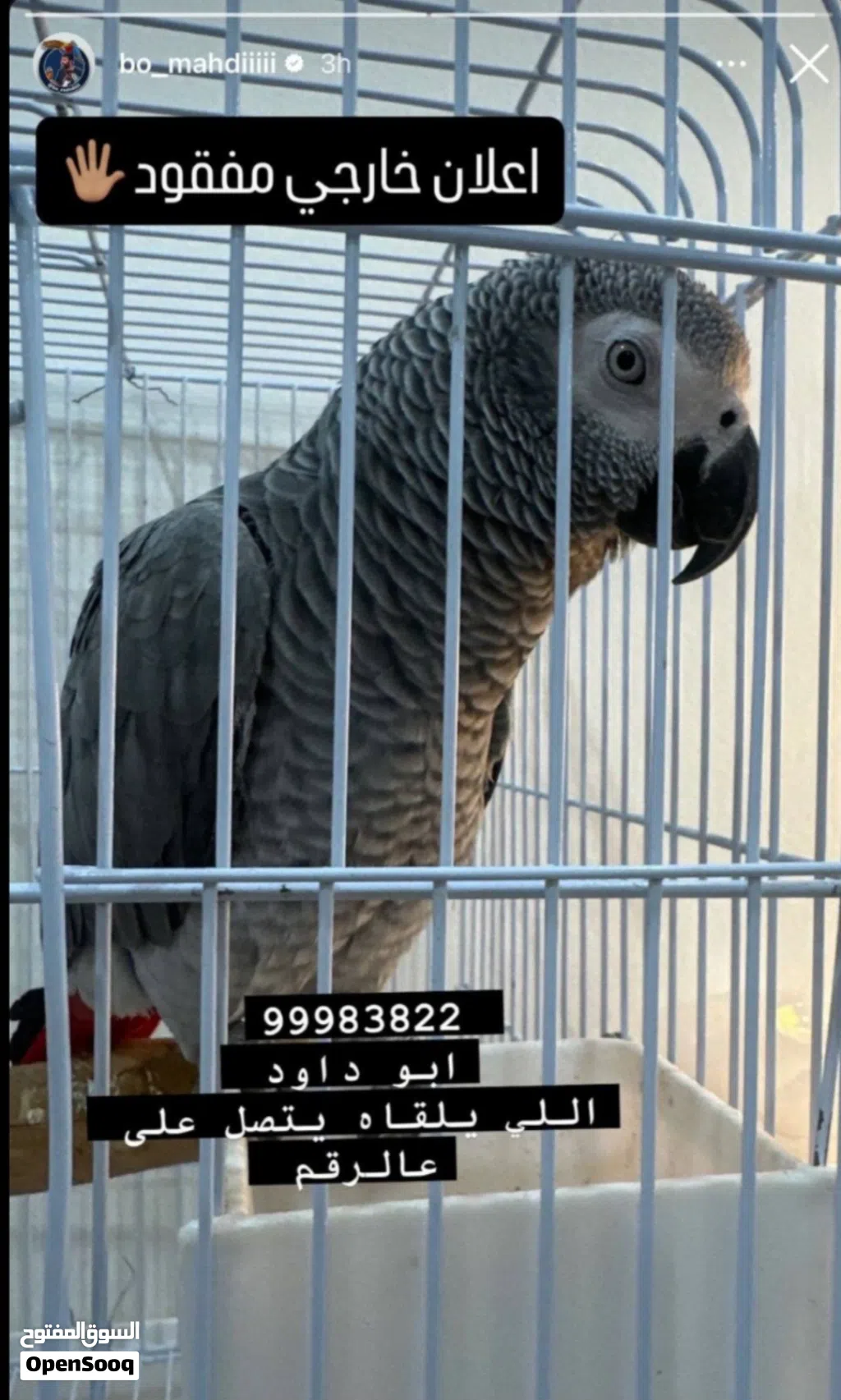 مفقود كاسكو