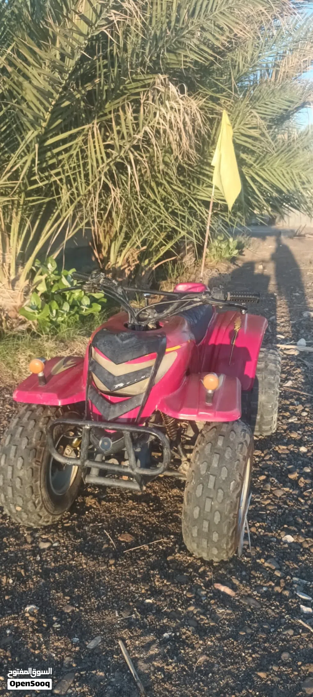 Buggy All Models