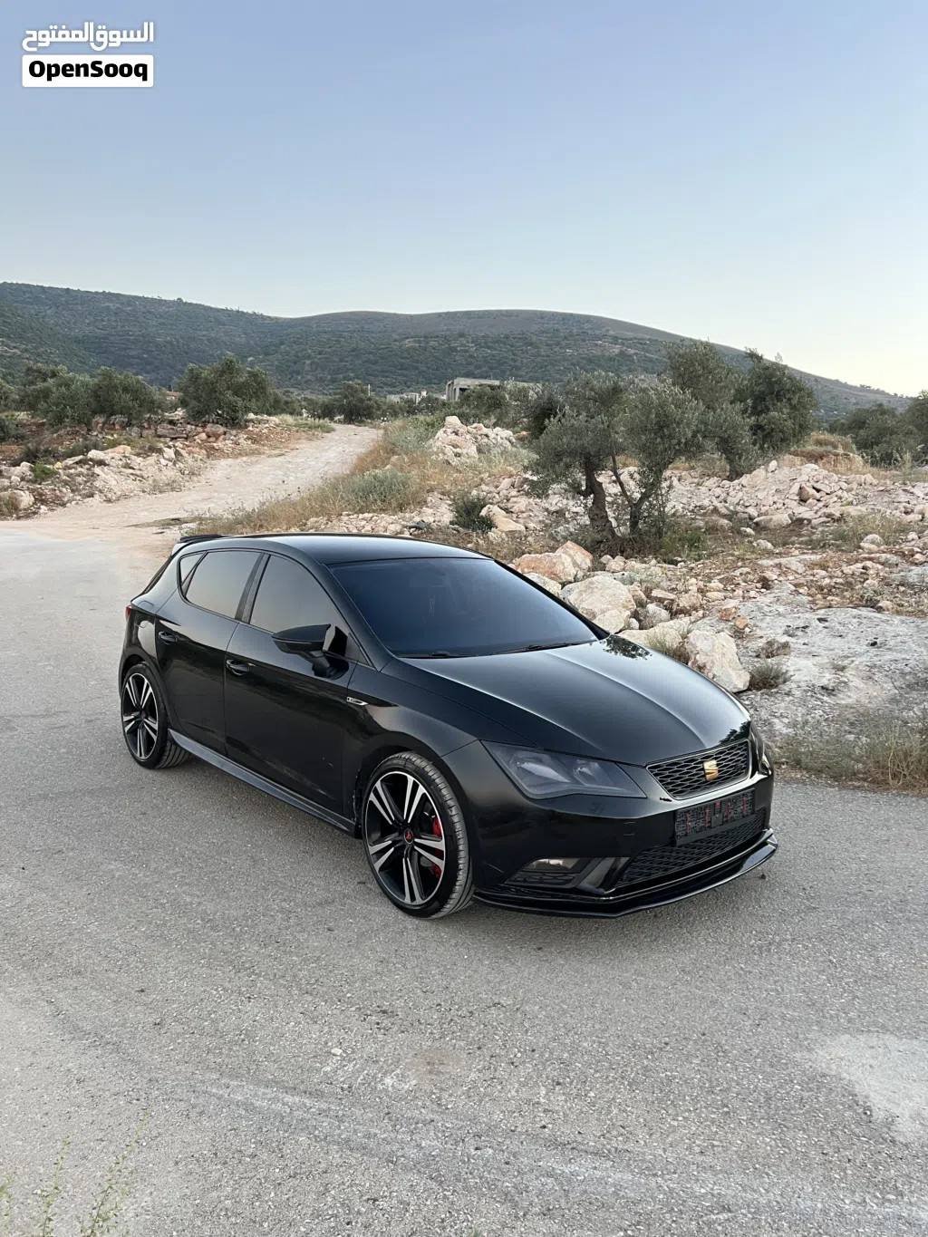 سيات ليون Standard