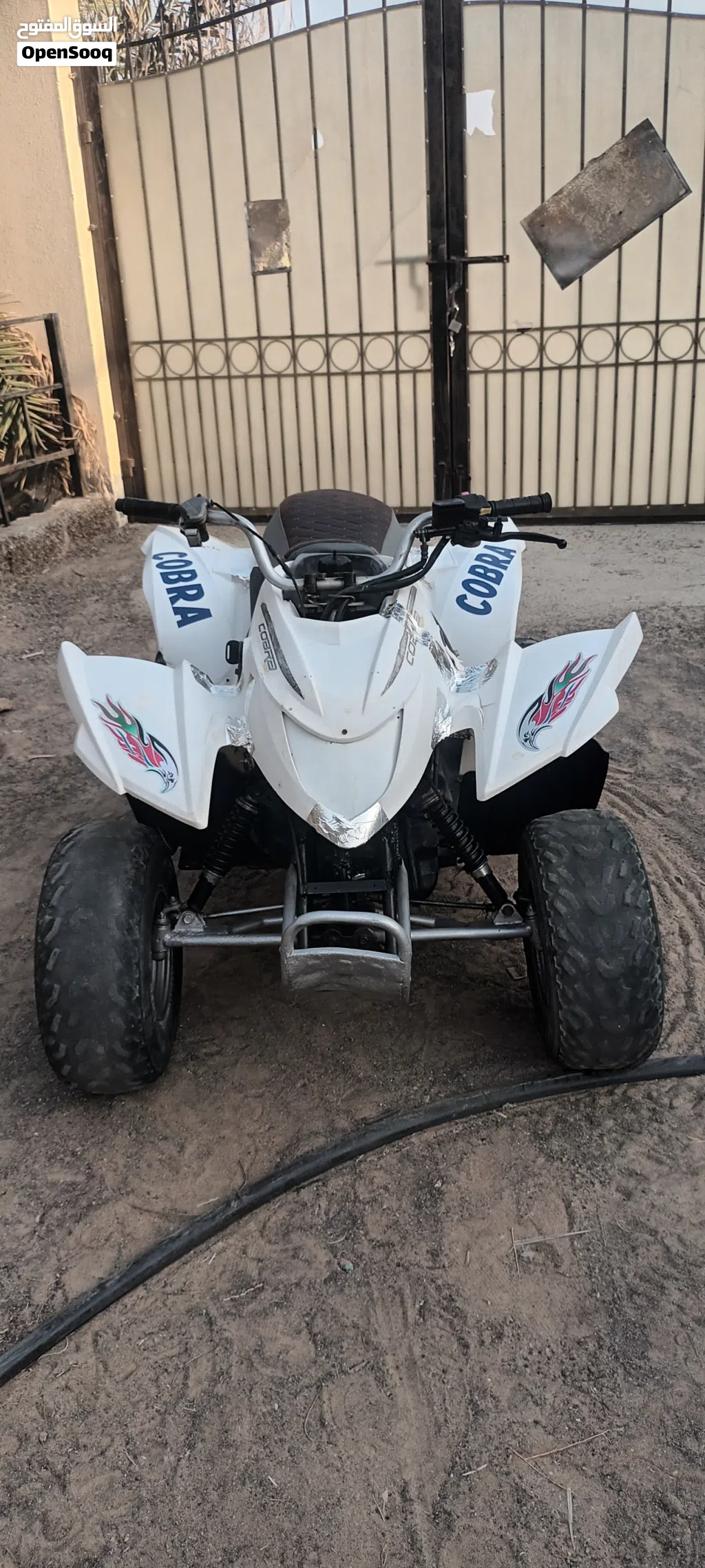 cobra 100cc Korean automatic gear
