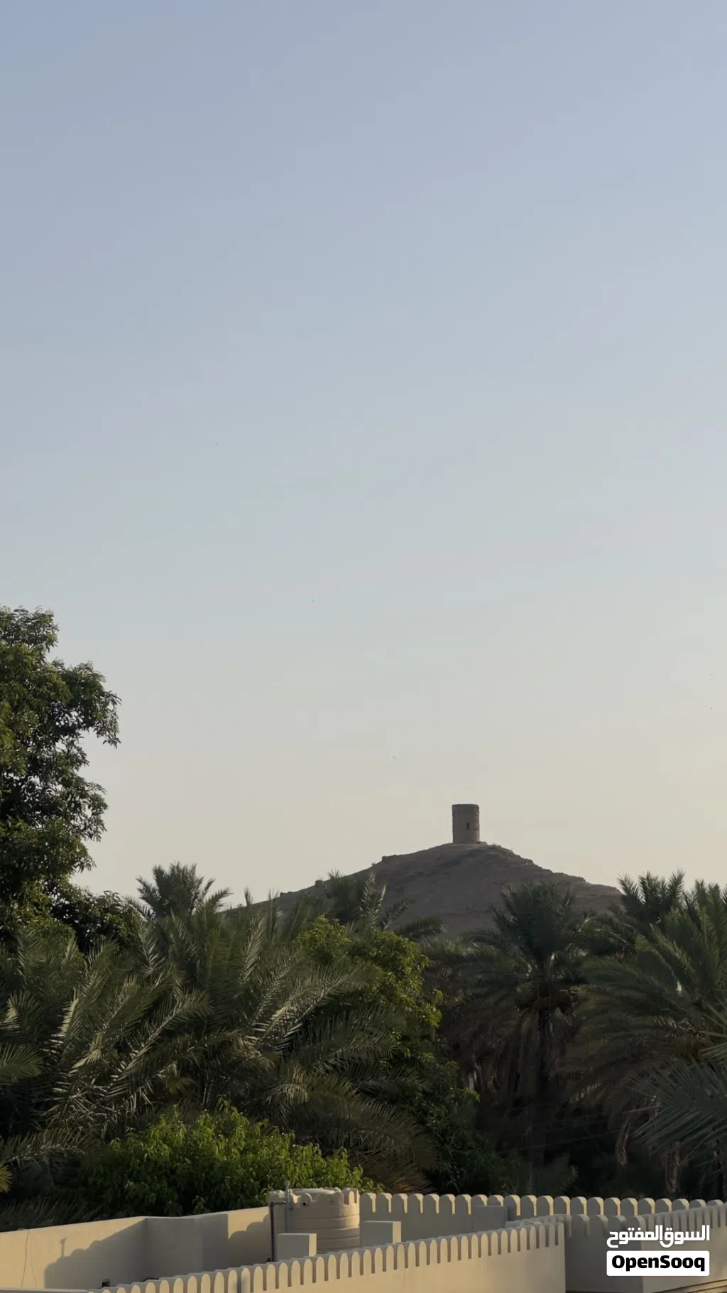يوجد لدينا صرم (فرض+ جبري+ هلالي+ خلاص ) للبيع