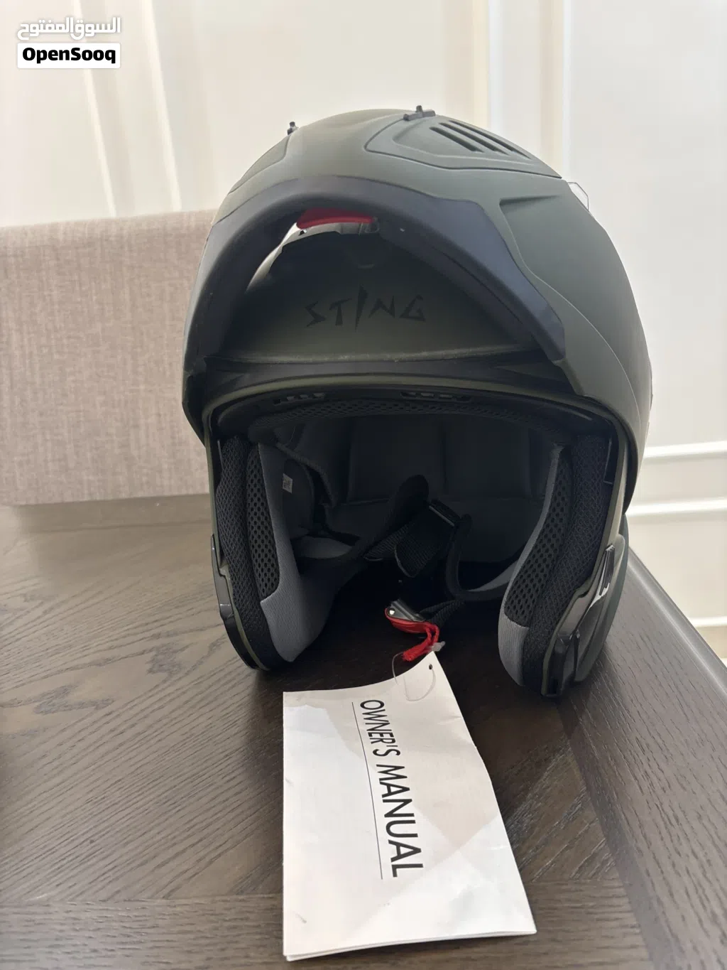 Sting motorcycle helmet