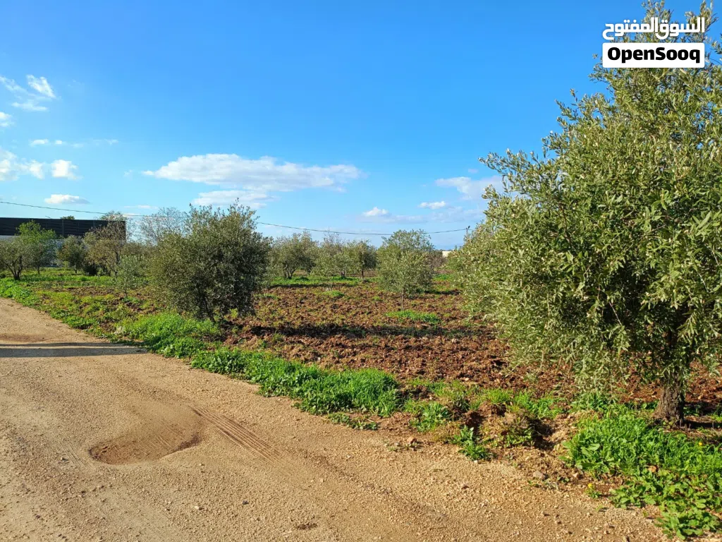 قطعة ارض في حوفا الوسطية للبيع