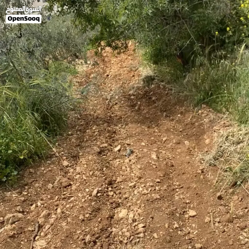 دائره السير مقابل جامع عبد الحي