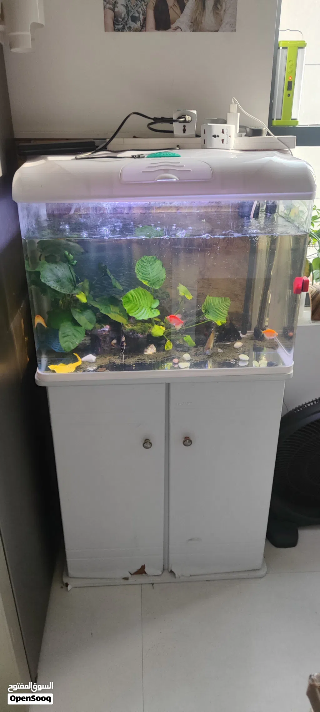 Acuarium with stand with fish