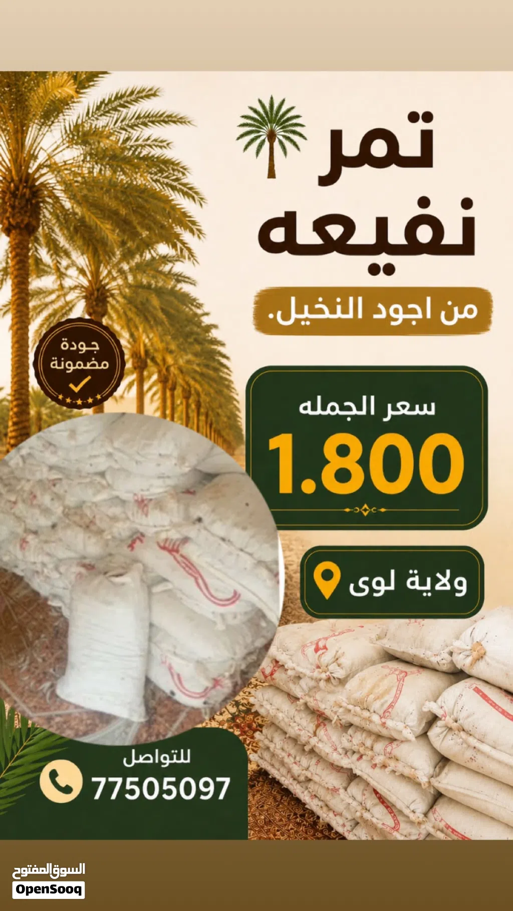 تمر نفيعه بجوده