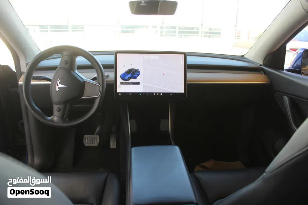 Tesla Model Y Performance