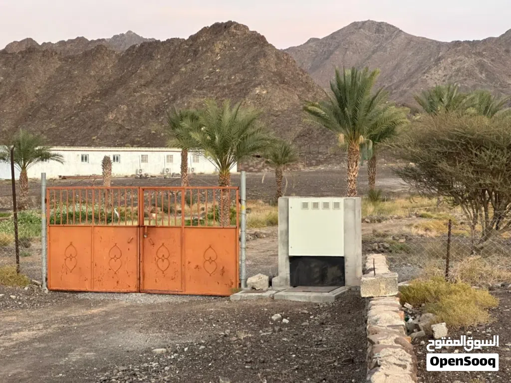 مزرعة للبيع في ولاية إزكي في منطقة الرسيس يوجد في المزرعة فلج خاص لها المزرعة موقعها إستراتيجي مميز