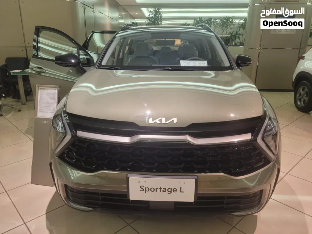 Kia Sportage Sportage X-Pro