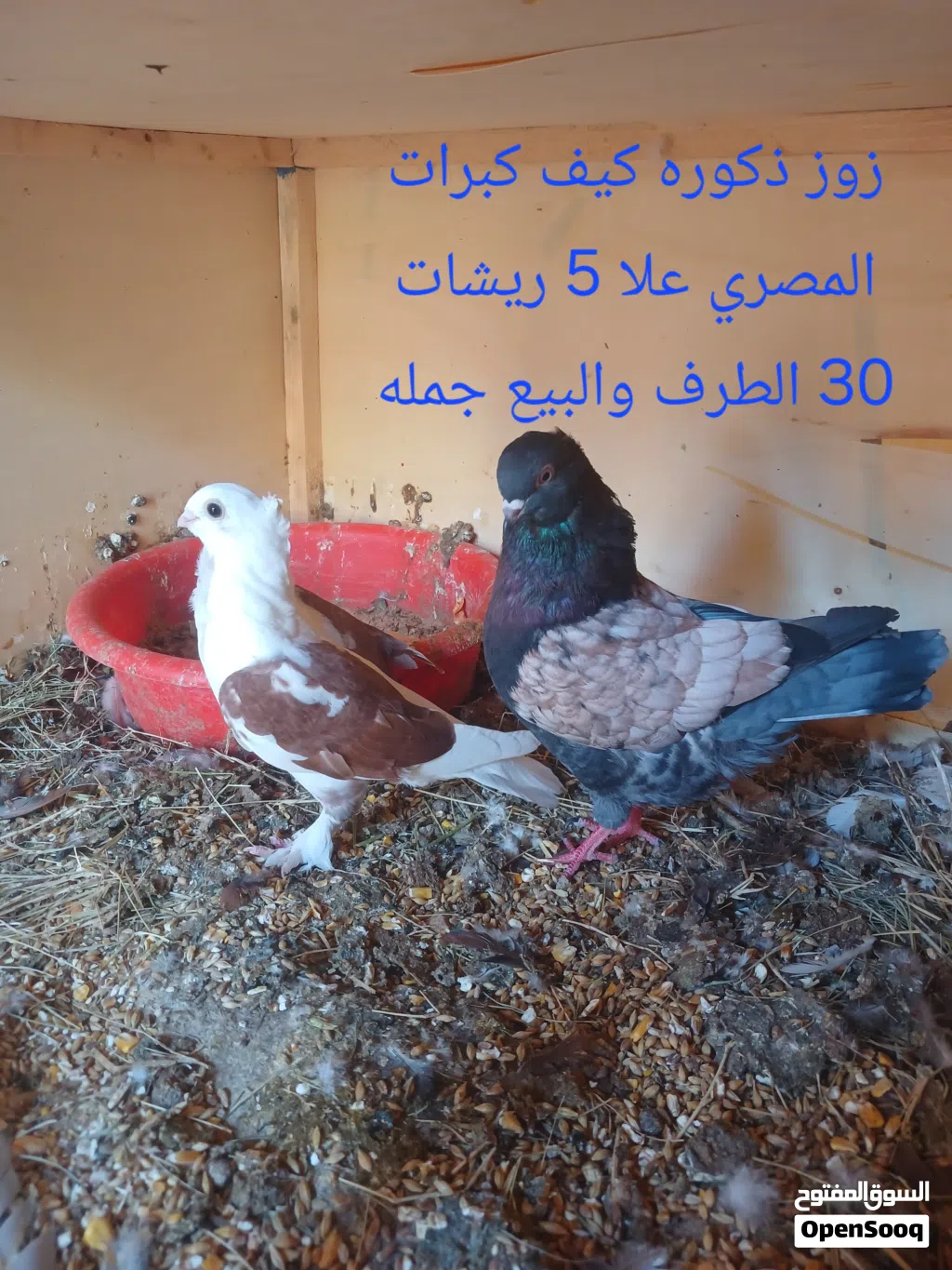 المكان الزاويه