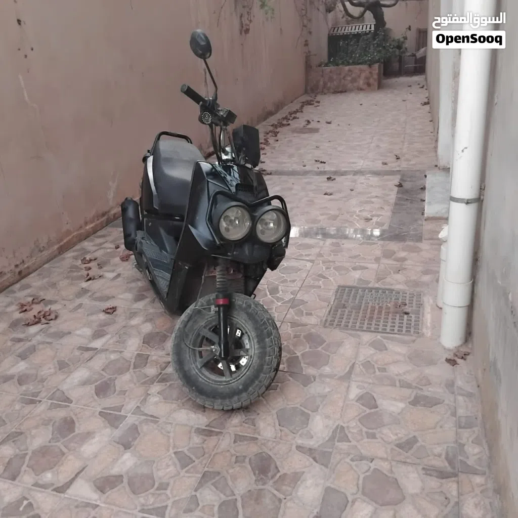 فيزبا عيون 2023 سعر شوي
