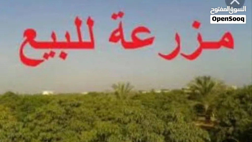 مزرعة مثمرة ومرويه للبيع في كعام