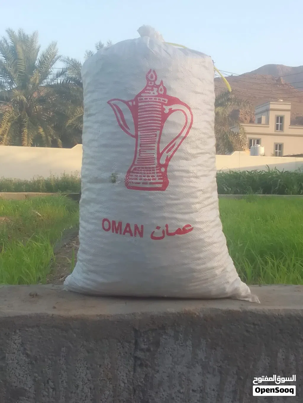 للبيع شوع عماني