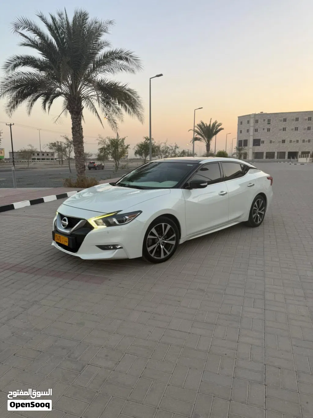 Nissan Maxima SV