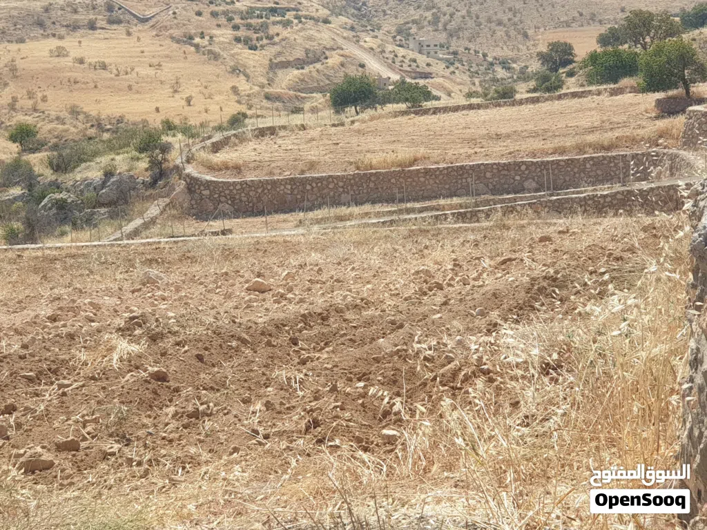 قطعة مميزة مستوية مشغولة مسنسلة مشيكة مطلة على شارعين 5125م فقط 90000 صروت بيرين قرب العالوك والمسرة