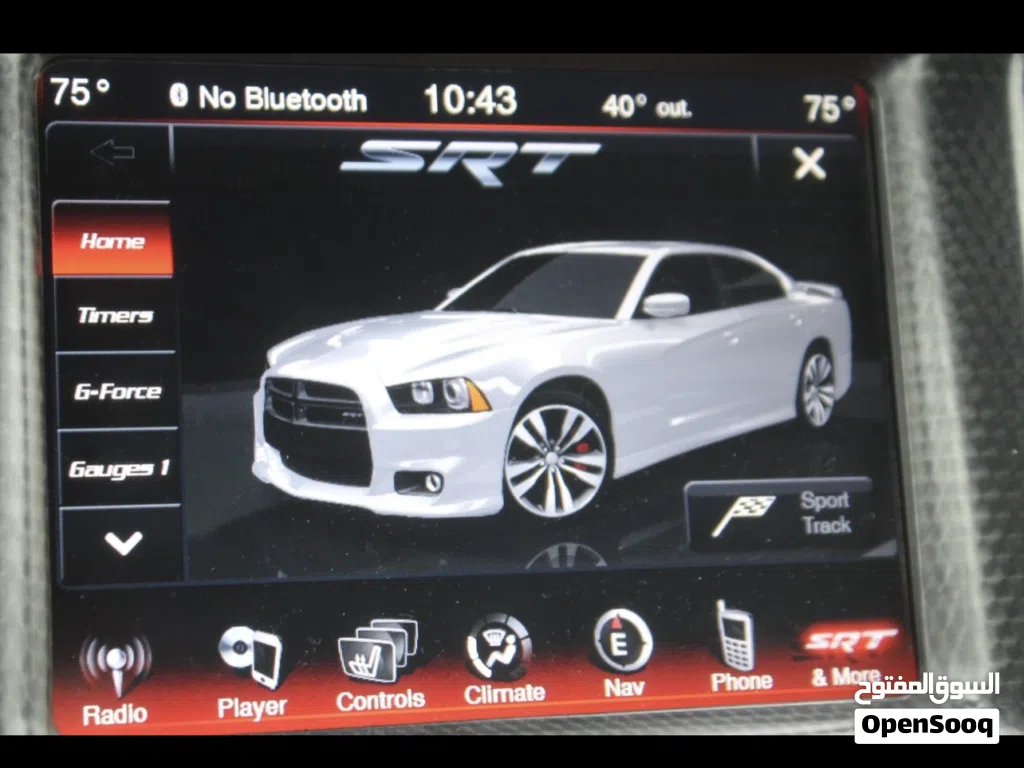 Charger 2012-2014 SRT pages activation