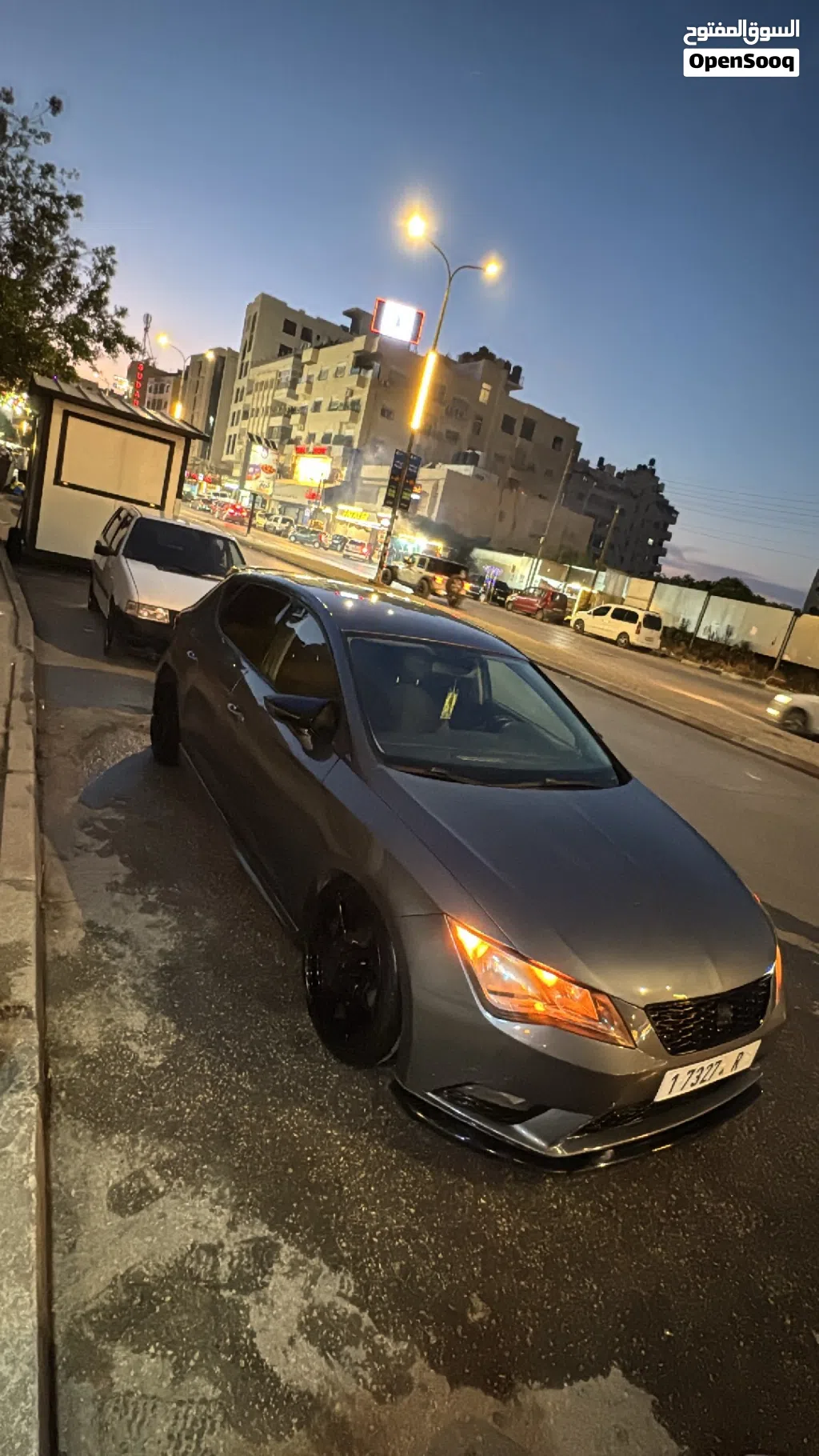 سيات ليون Standard
