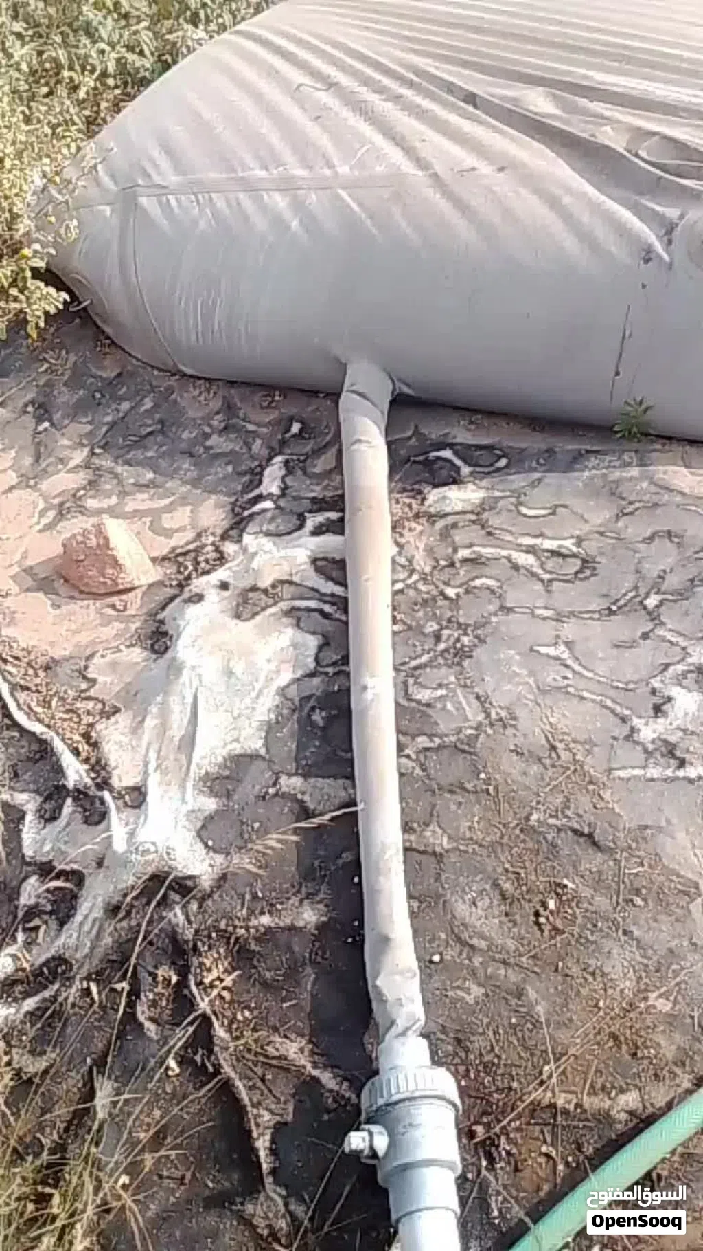 شراع للبيع