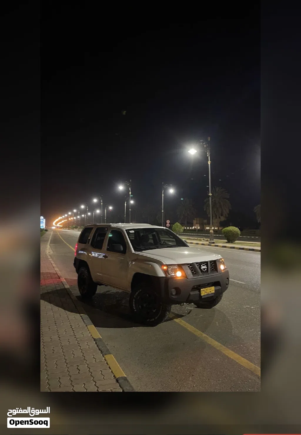 Nissan X-Terra Standard