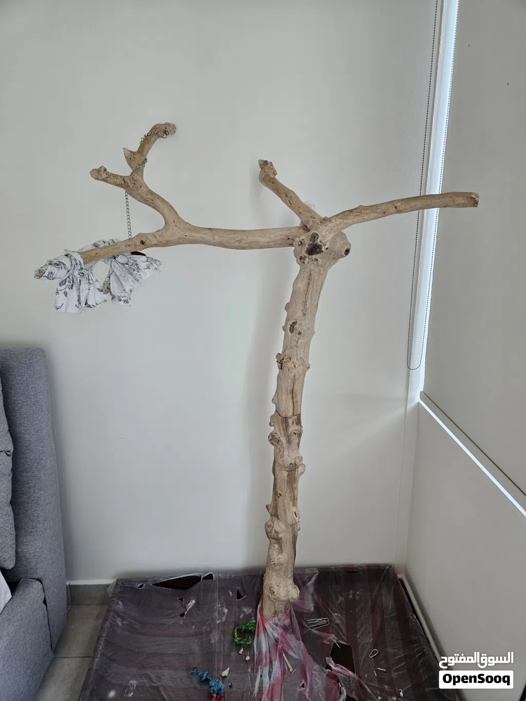 Premium Parrot Stand for Large Birds For Sale