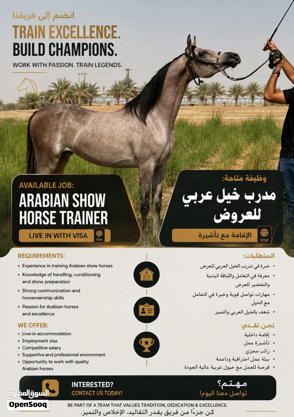 Show horse trainer wanted