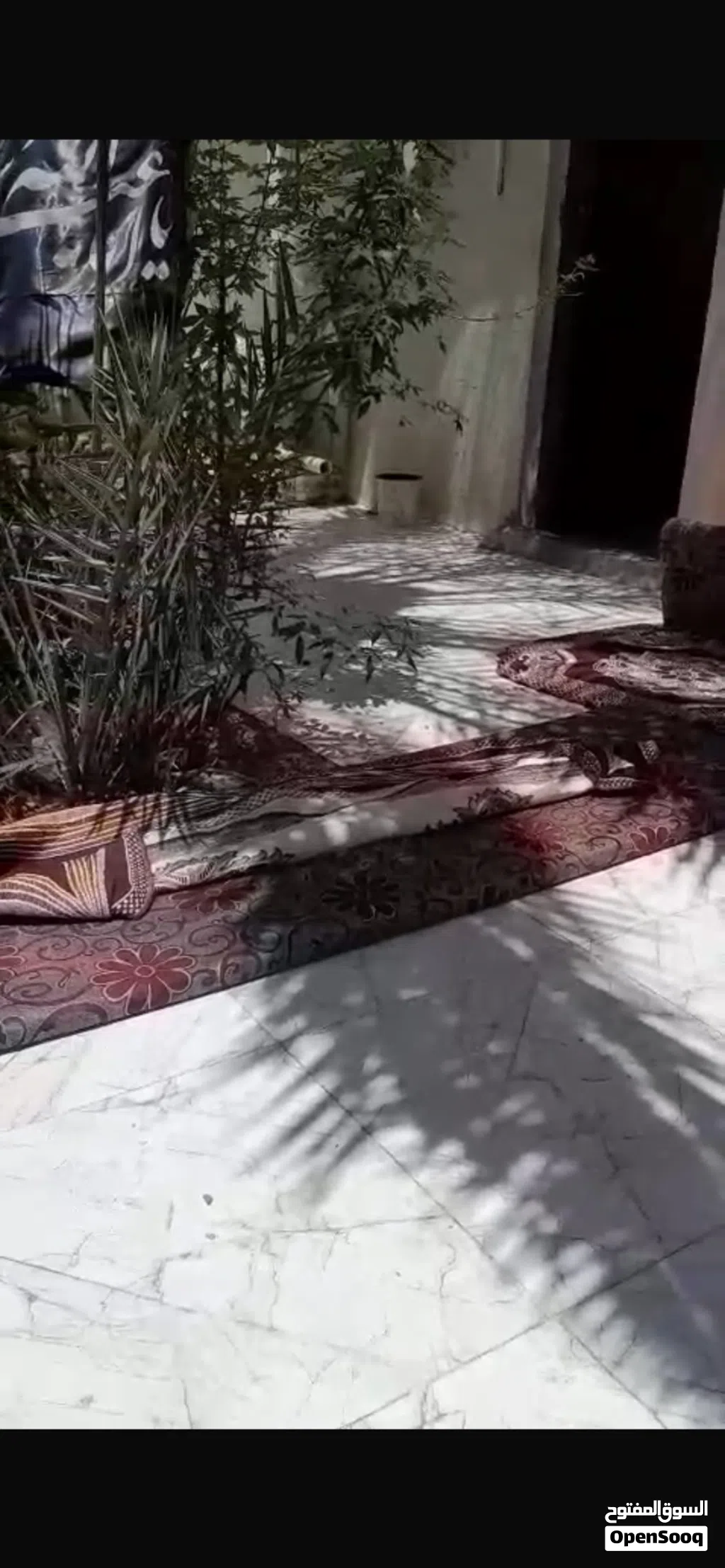جلسه عربيه للبيع مستعلمه ونضيفه وسعر مناسب جدا جدا 4دوشك و7مسند ضهر و2تكيه ضهر