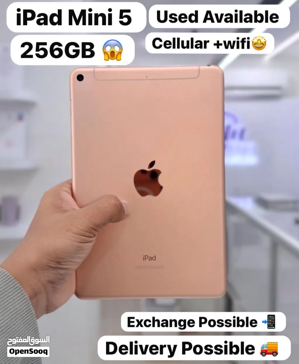 Apple IPad mini 5 256Gb WiFi +Cellular clean amazing good condition