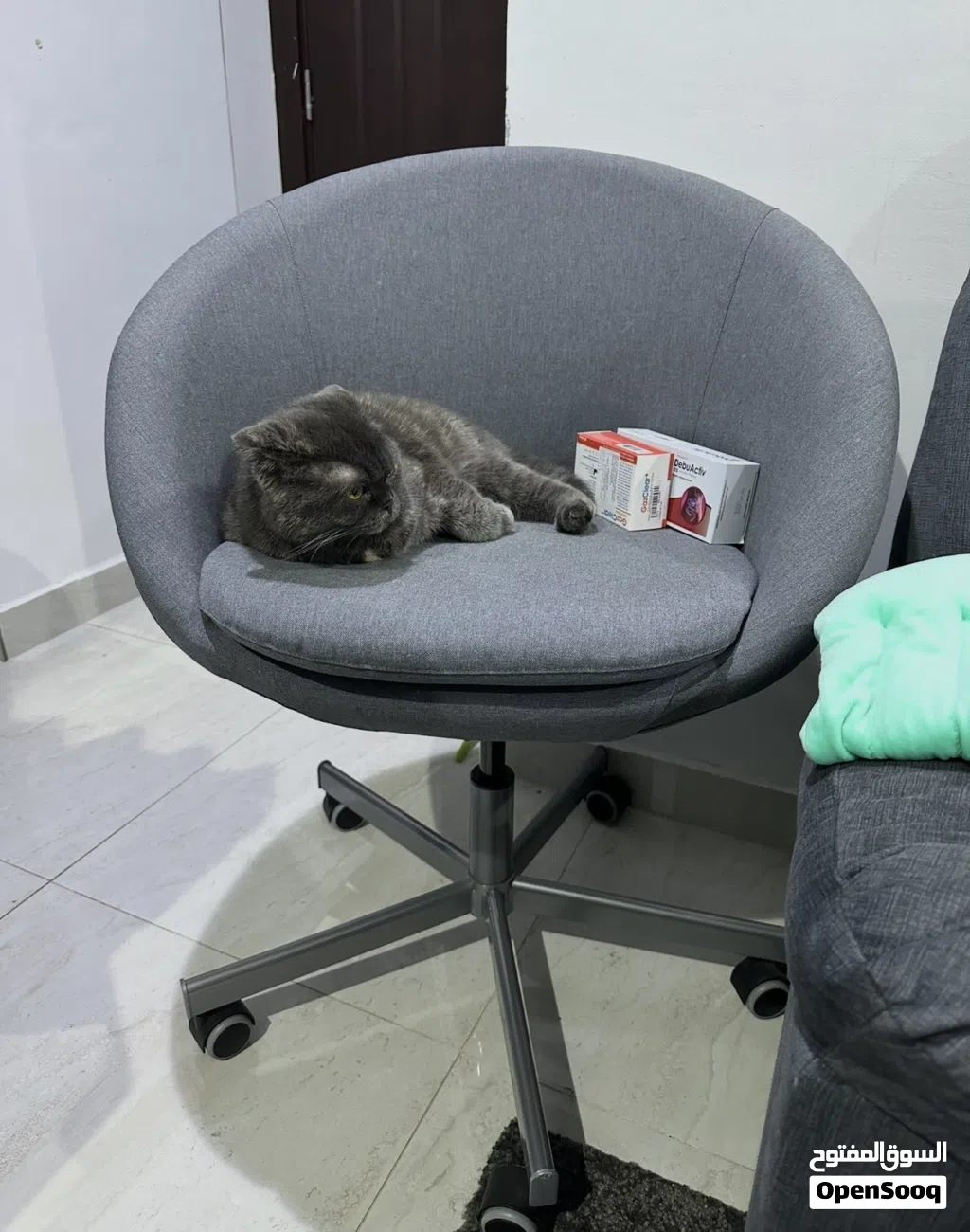 Ikea Office Chair