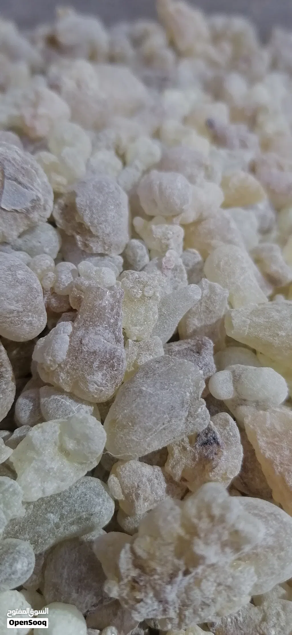 لبان بخور حوجري ممتاز.. درجه اولي وسعر مناسب.. وكذالك لبان دكر للعلاج والاكل والشرب.. بسعر ممتاز
