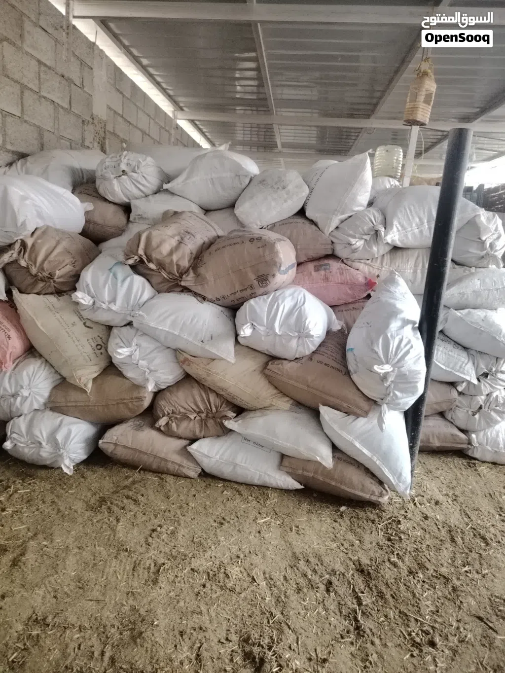 الموقع. بركه الموز