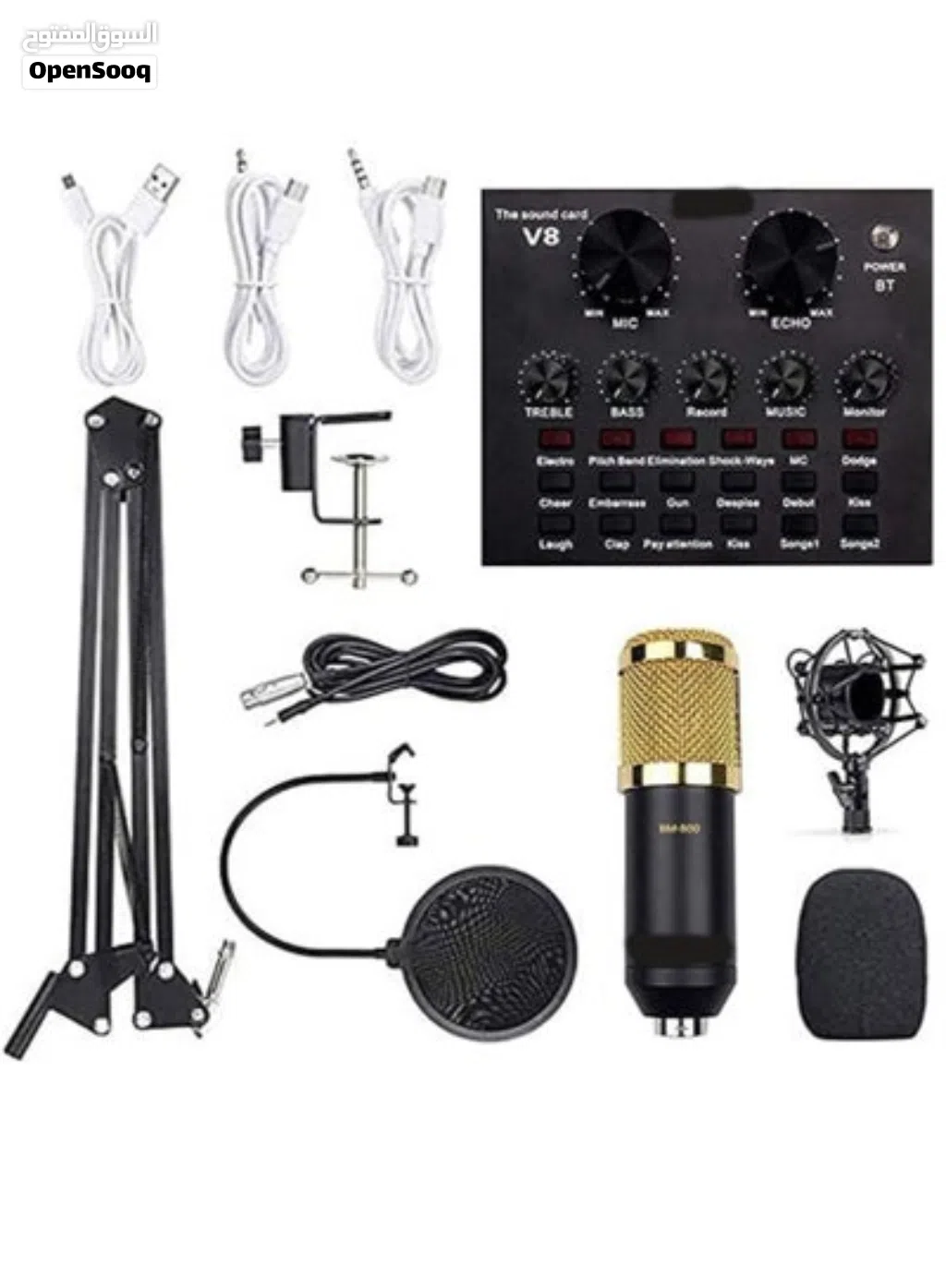 ميكروفون مكثف احترافي Professional Condenser Microphone 800-BM.