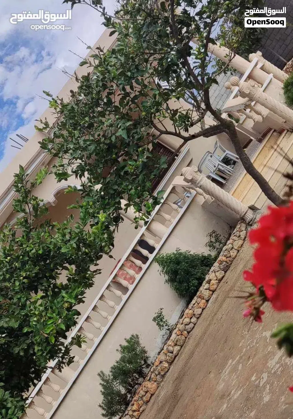 استراحة في شحات في اليوم