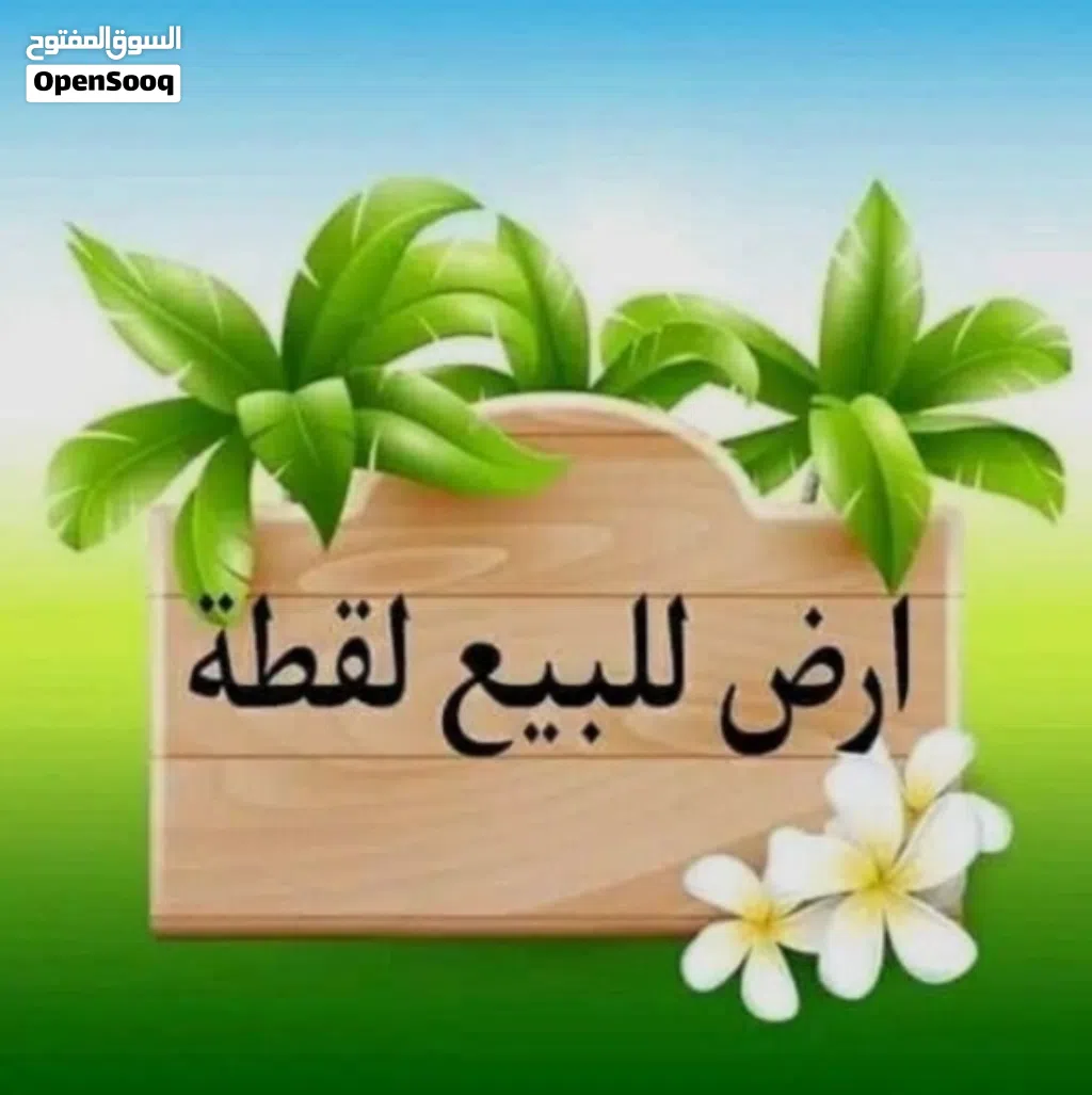 ارض للبيع في منطقه ناعور المطله على جبال القدس تصلح للإسكانات والفلل مطله عله جبال القدس من المالك