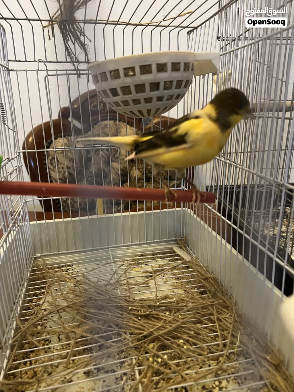 السلام عليكم اقرأ الوصف