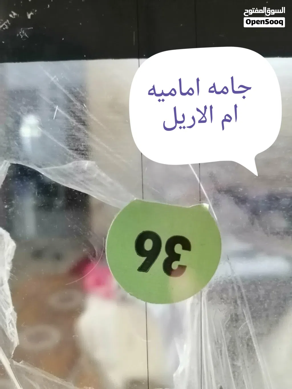 قطع غيار ماليبو موديل 81 أمريكية كل القطع المعروضه بسعر مليون وميه وبيها مجال