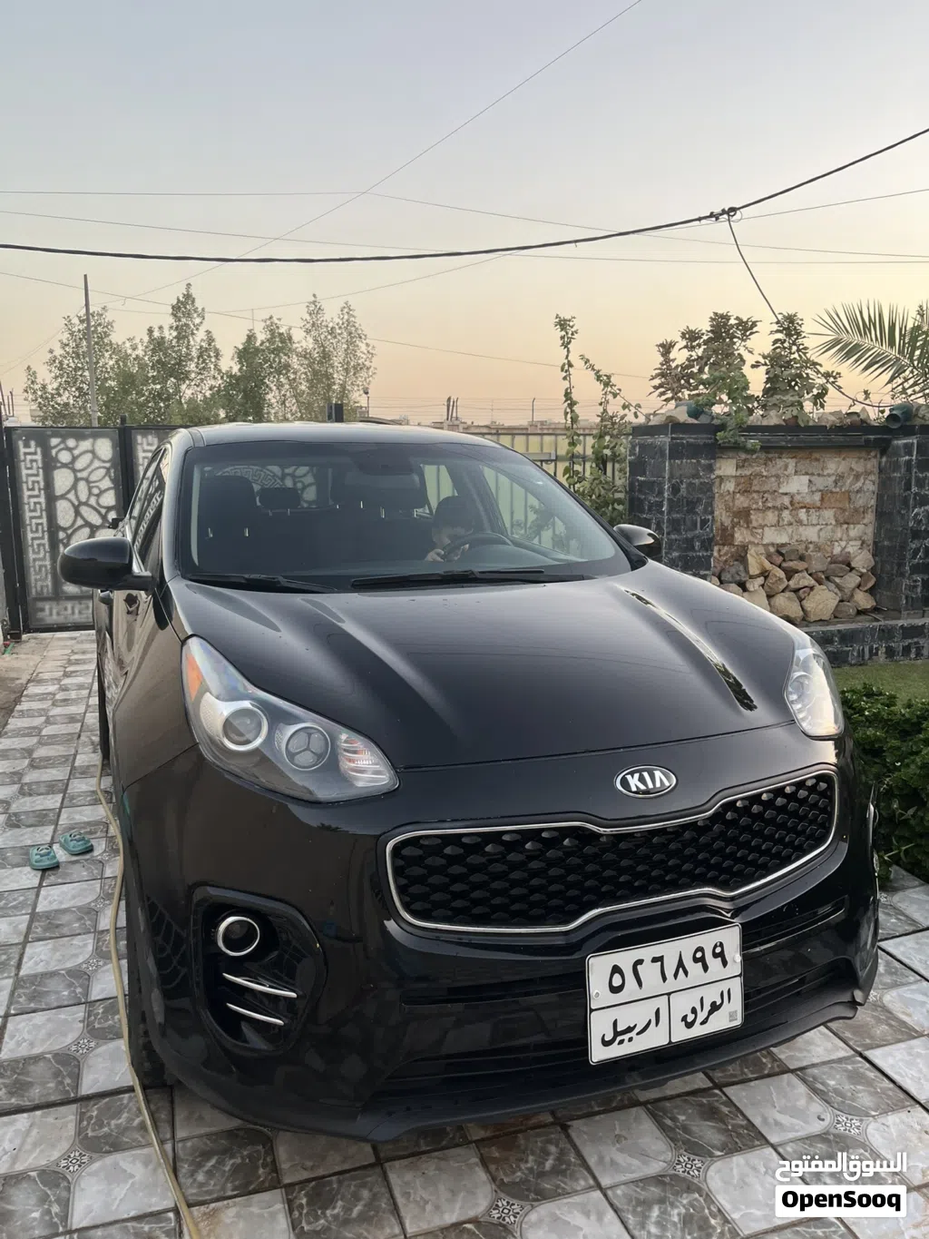 کیا Sportage EX