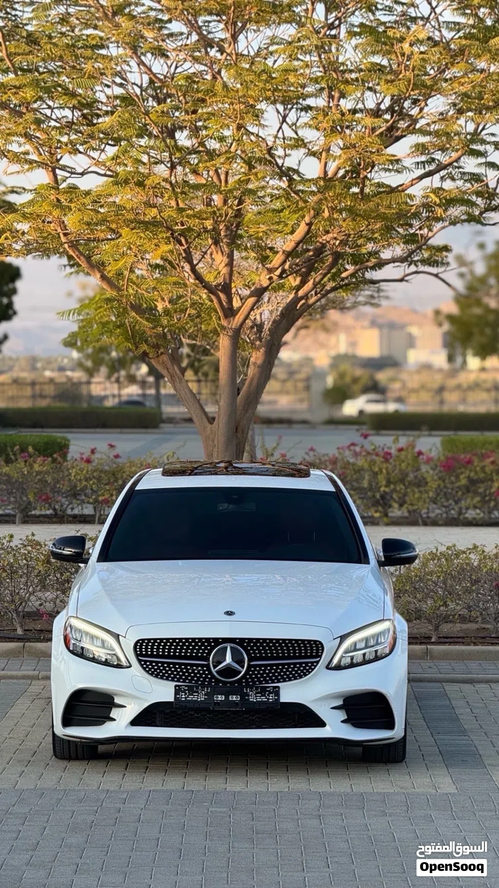 Mercedes Benz C-Class C 300