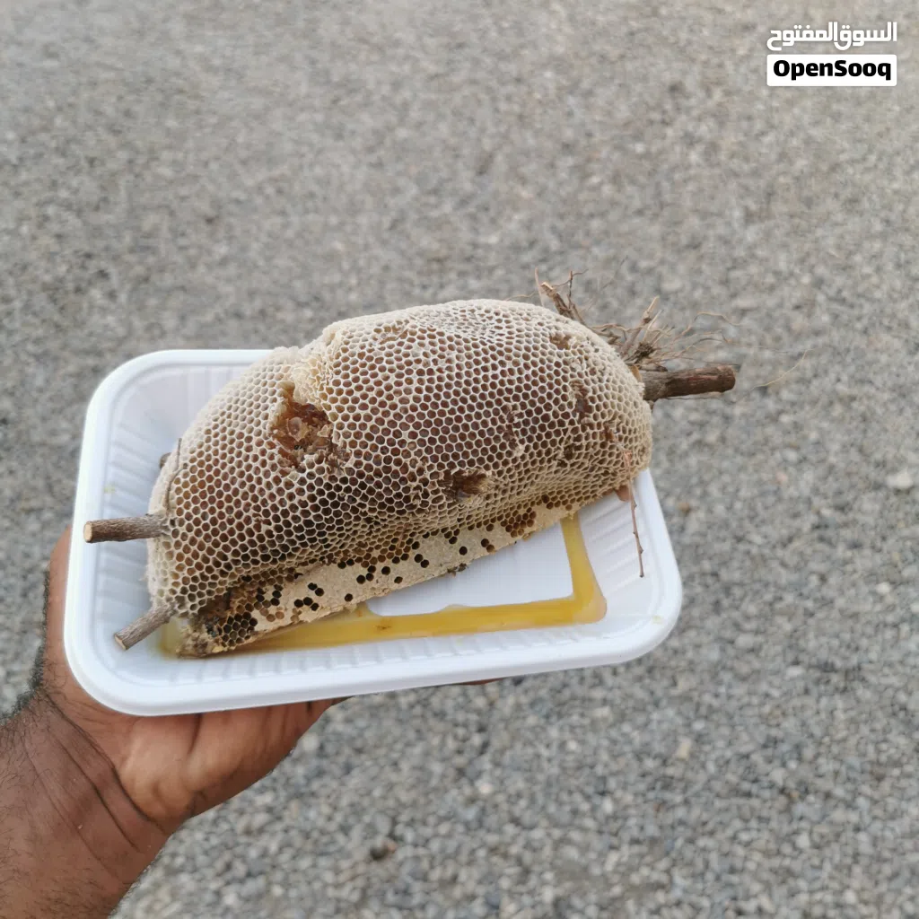 عسل برم جديد
