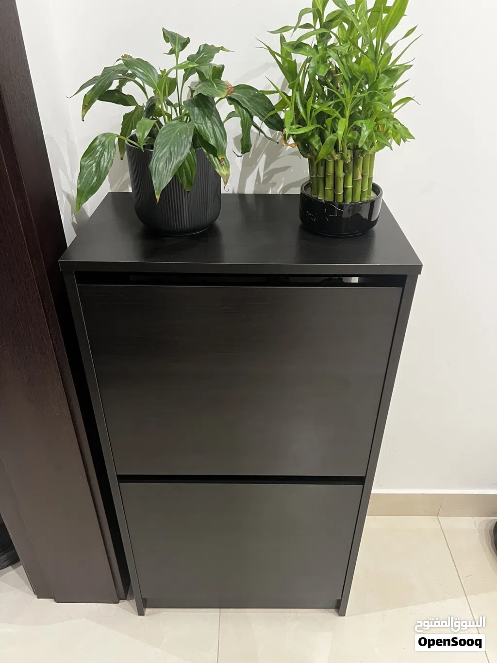 Shoe cabinet