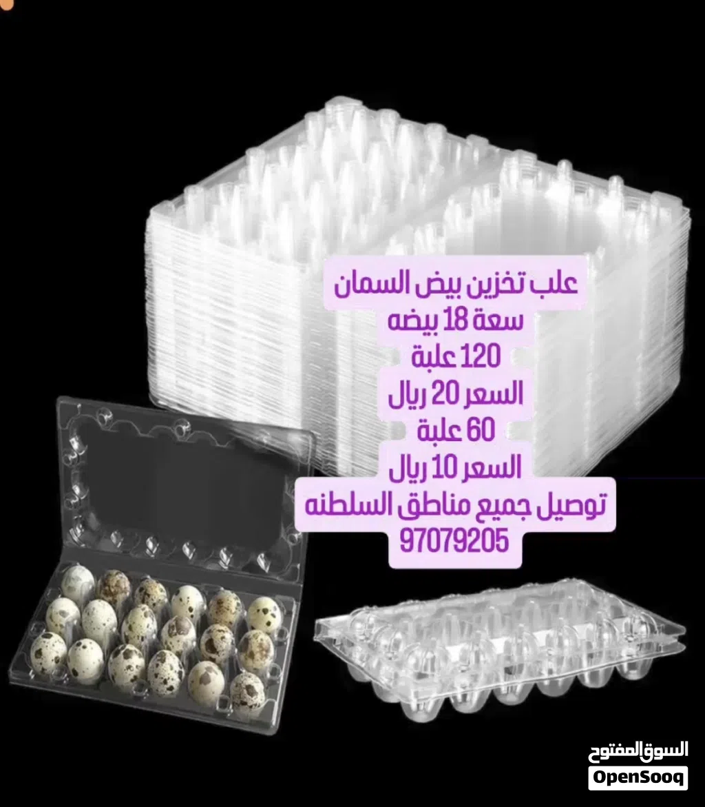 علب تخزين بيض سمان للبيع
