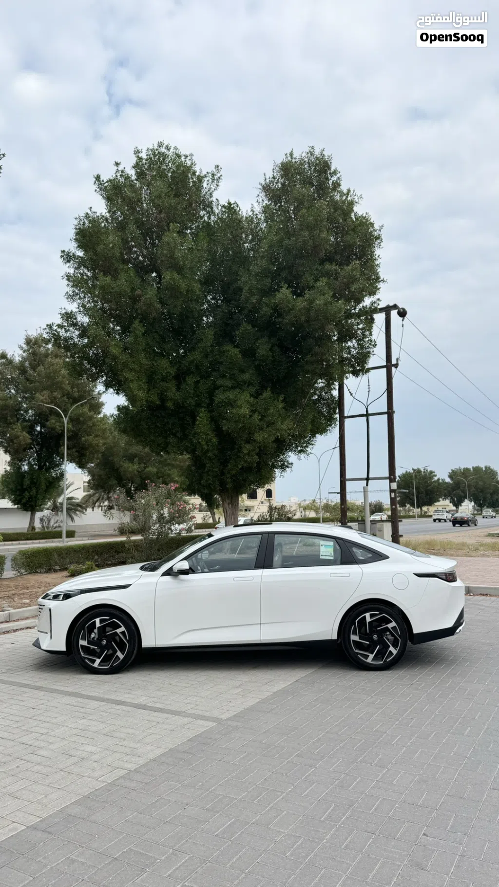 شانجان ايدو Luxury