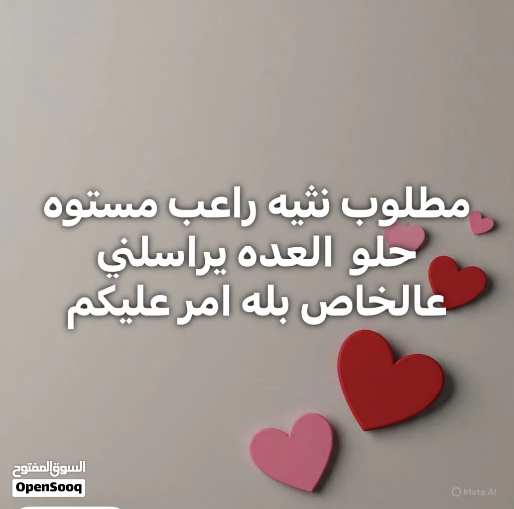 مطلوب نثيه راعب