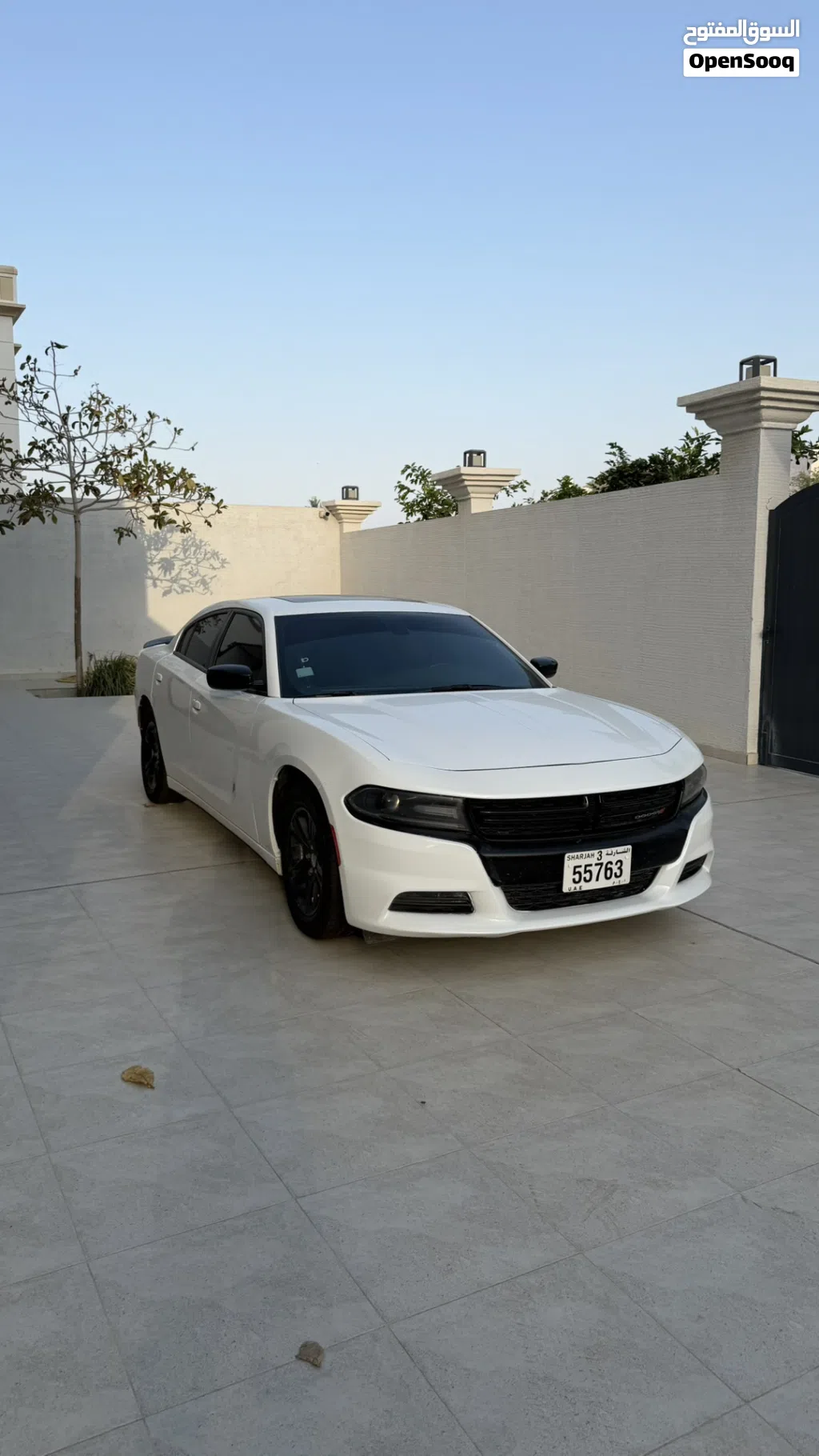 دودج تشارجر SXT