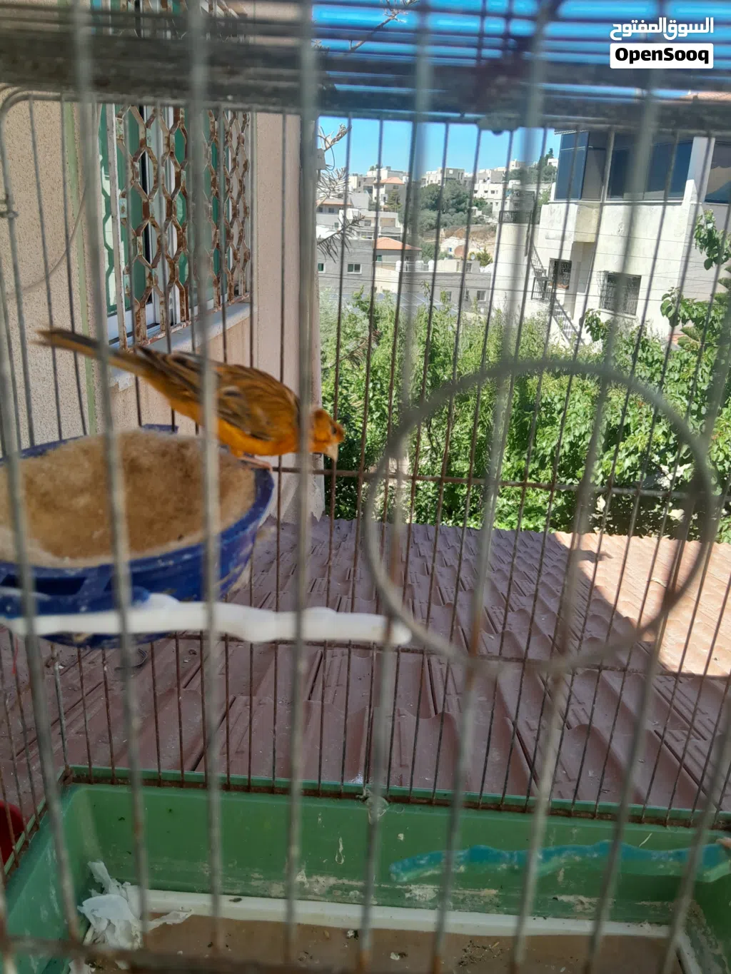 ذكرين كنار مواردي
