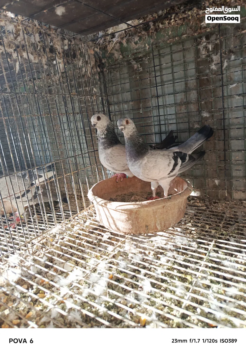 للبيع بسعر مناسب