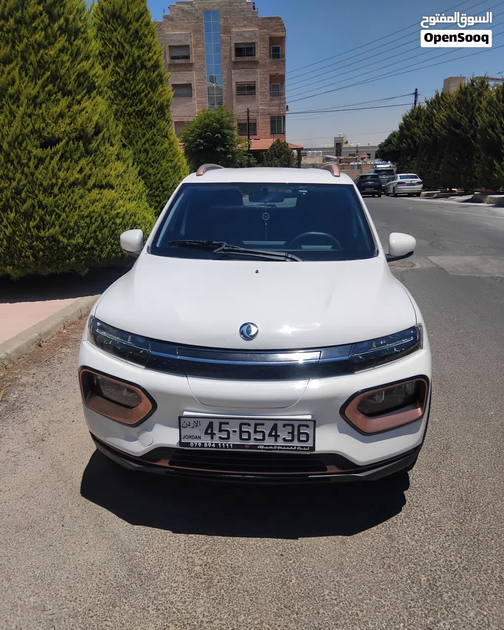دونج فينج EX1