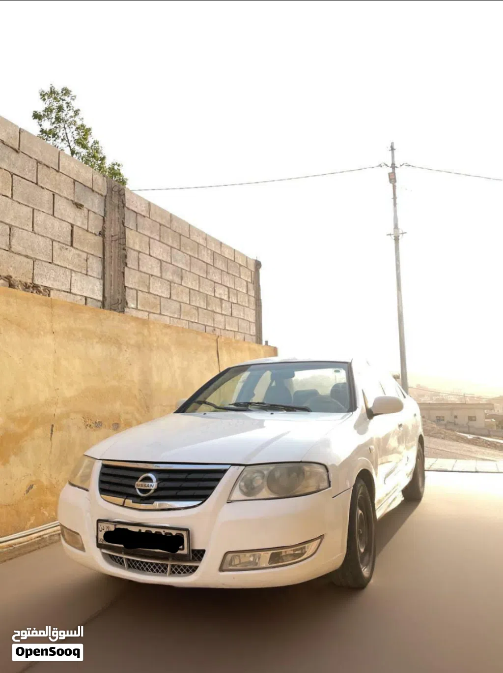Nissan Sunny Standard