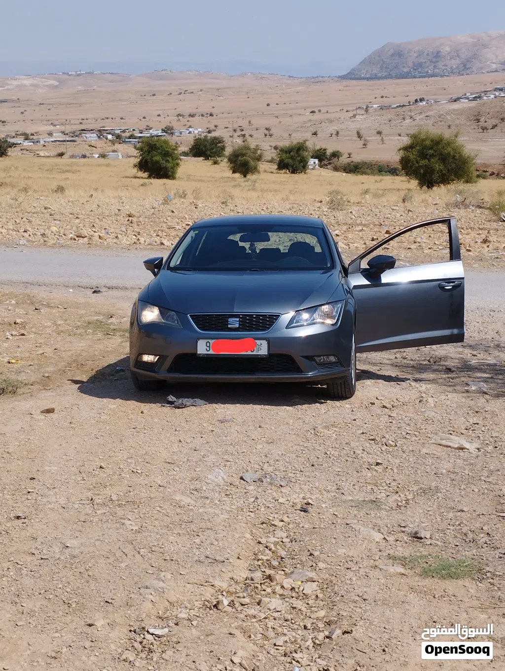 سيات ليون Standard